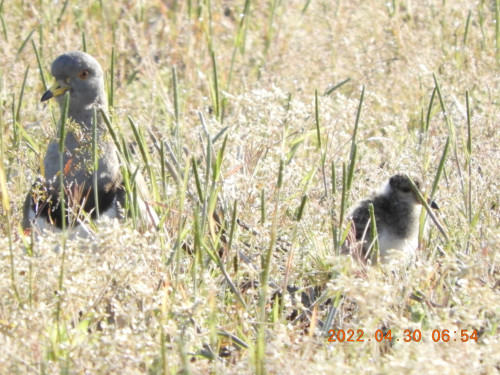 DSCN3822.JPG