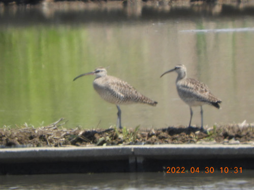 DSCN3853.JPG