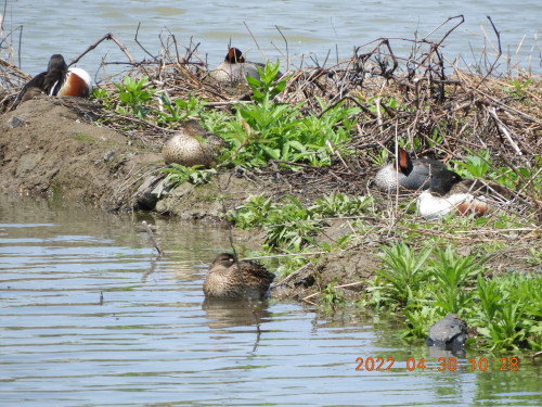 DSCN3850.JPG