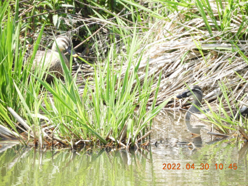 DSCN3868.JPG