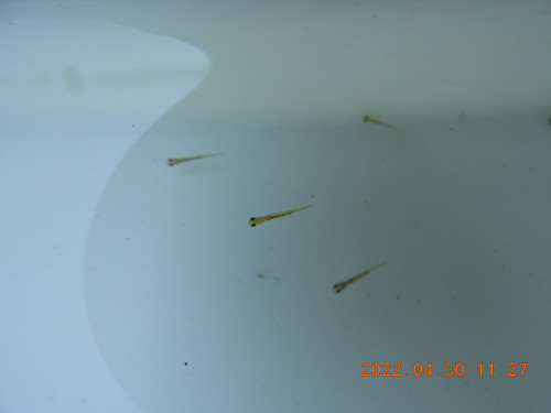 DSCN3872.JPG