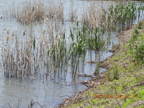 DSCN3973.JPG