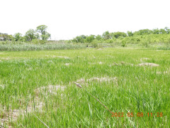 DSCN4006.JPG