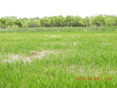 DSCN4007.JPG