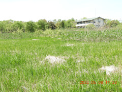 DSCN4008.JPG