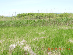 DSCN4009.JPG