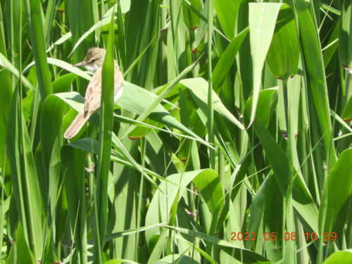 DSCN3983.JPG