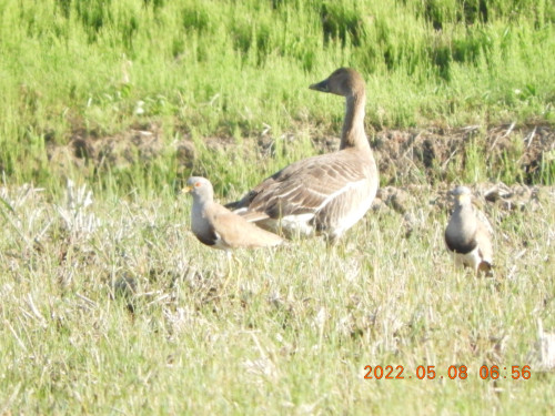 DSCN3913.JPG