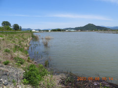 DSCN3969.JPG