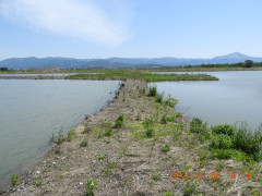 DSCN3970.JPG