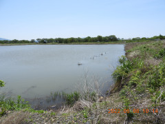 DSCN3971.JPG