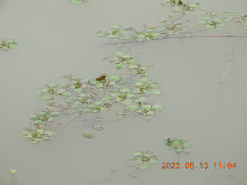 DSCN4363.JPG