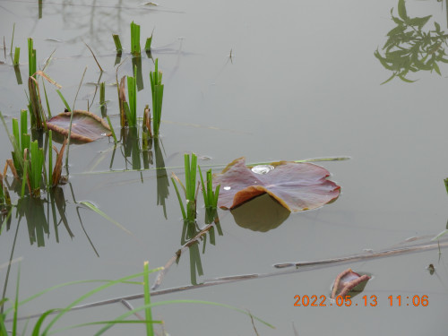 DSCN4365.JPG