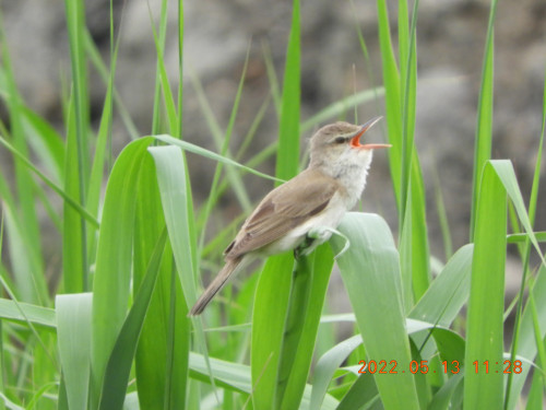 DSCN4367.JPG