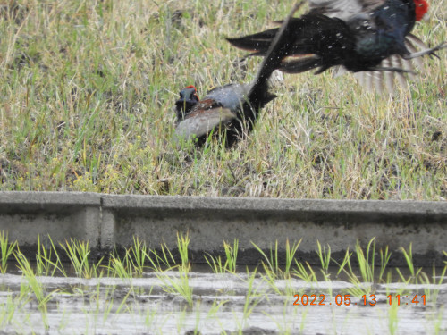 DSCN4376.JPG