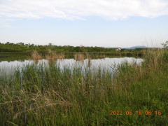 DSCN4410.JPG