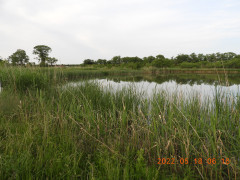 DSCN4409.JPG