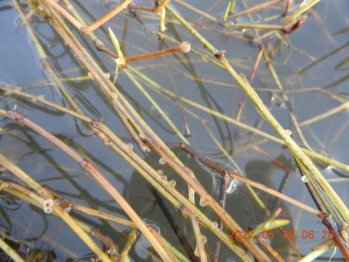 DSCN4412.JPG