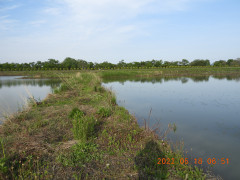 DSCN4432.JPG