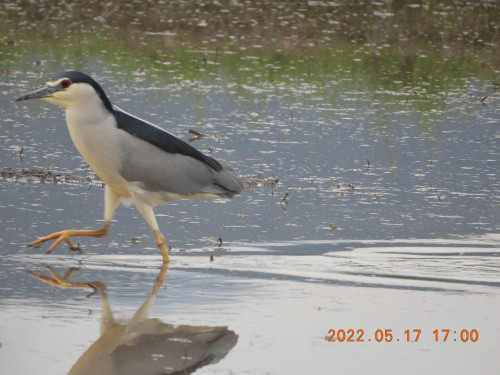DSCN4406.JPG