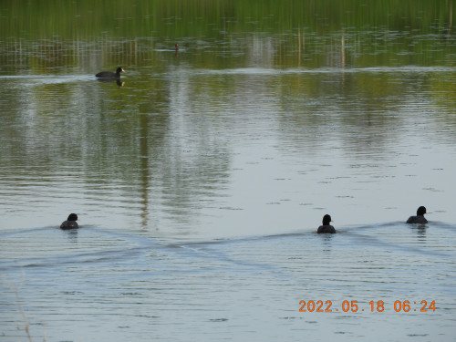 DSCN4411.JPG