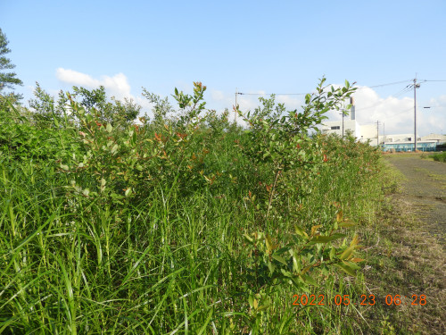 DSCN9073.JPG