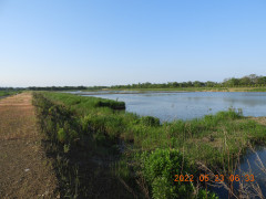 DSCN9074.JPG