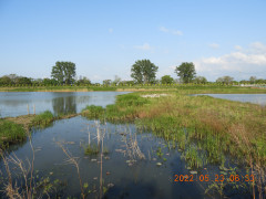 DSCN9075.JPG