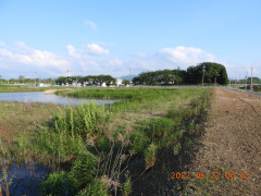 DSCN9076.JPG