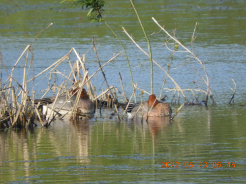 DSCN9079.JPG
