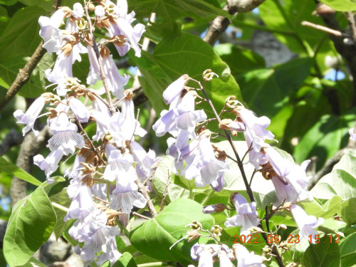 DSCN9089.JPG