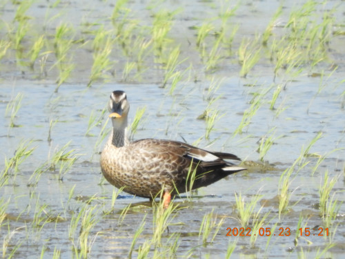 DSCN9092.JPG