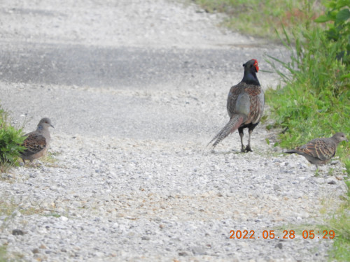 DSCN9216.JPG