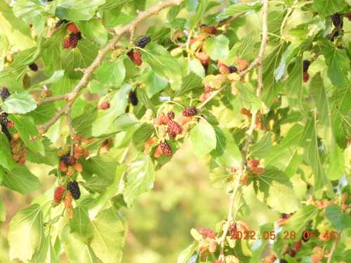 DSCN9232.JPG