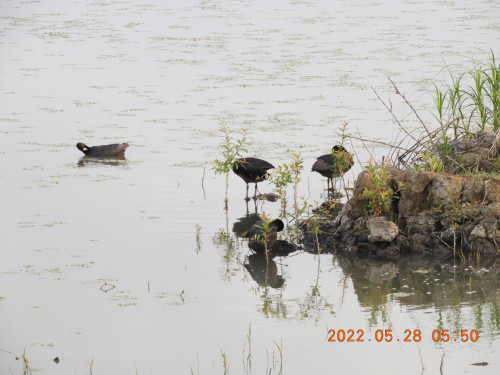 DSCN9236.JPG