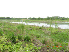 DSCN9245.JPG