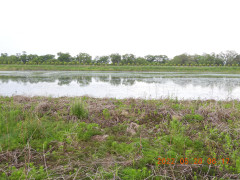DSCN9246.JPG