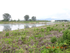DSCN9247.JPG