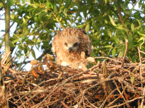 DSCN9106.JPG