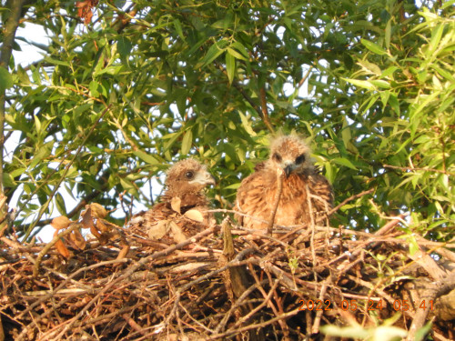 DSCN9108.JPG