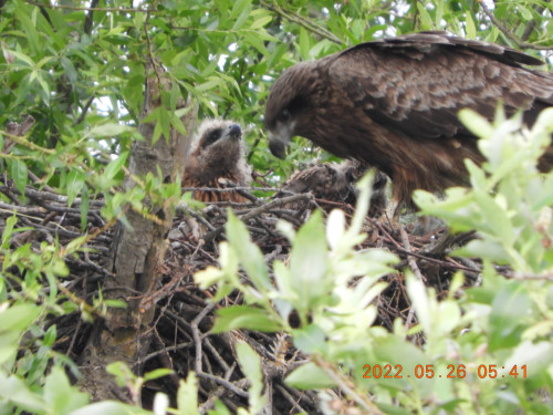 DSCN9147.JPG