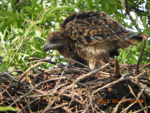 DSCN9199.JPG