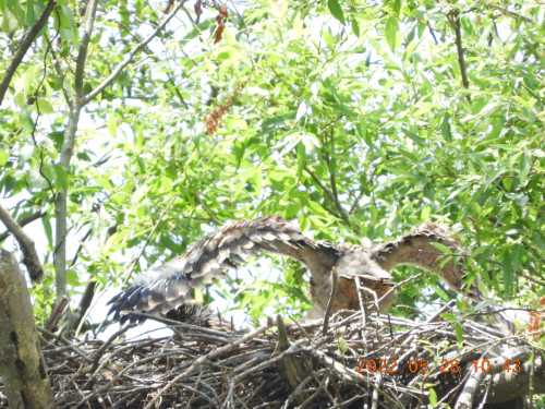 DSCN9268.JPG