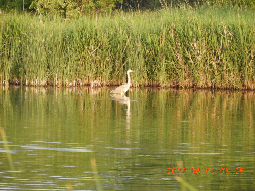 DSCN9368.JPG