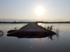 DSCN9383.JPG