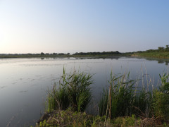 DSCN9384.JPG