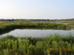 DSCN9387.JPG
