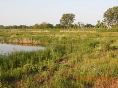 DSCN9388.JPG