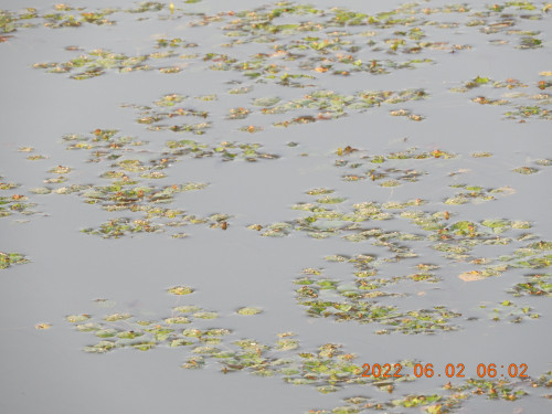 DSCN9389.JPG