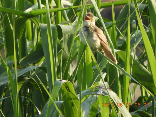 DSCN9396.JPG